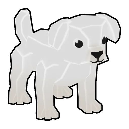 Bichon Frise