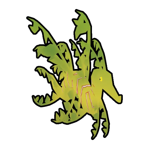Leafy Sea Dragon